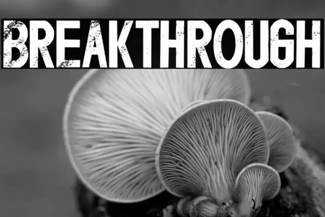 Breakthrough 字体 examples