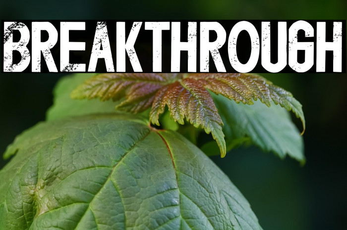 Breakthrough Example 2