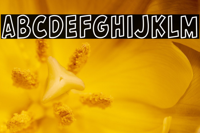 Breast Cancer Example 1