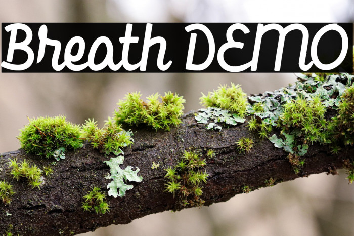 Breath DEMO Example 2