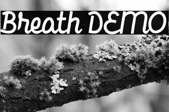 Breath DEMO Font examples