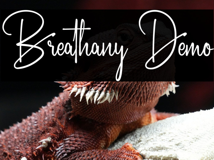 Breathany Demo Example 1