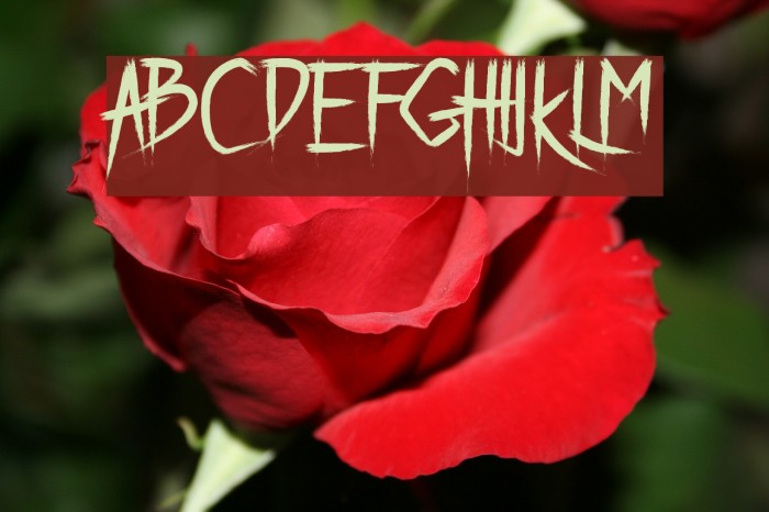 Breathe Karma Regular Font examples