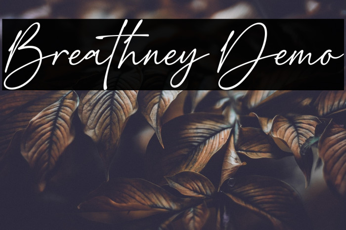 Breathney Demo Example 1