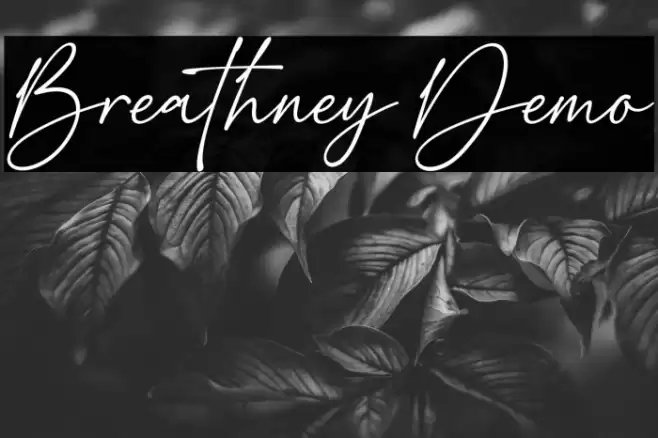 Breathney Demo फ़ॉन्ट examples