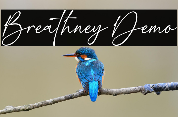 Breathney Demo Example 3