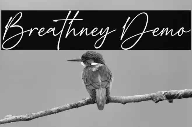 Breathney Demo फ़ॉन्ट examples