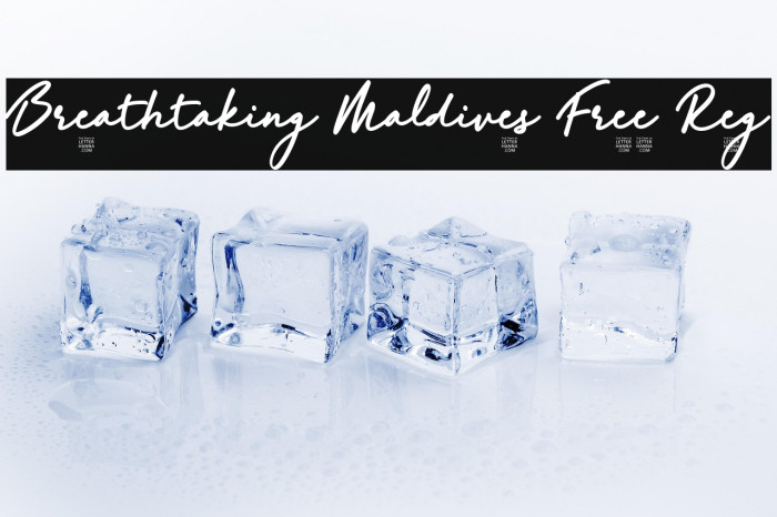 Breathtaking Maldives Free Reg Example 3