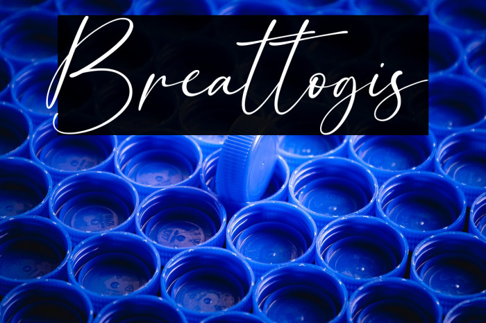 Breattogis Example 1