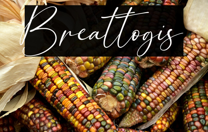 Breattogis Example 3