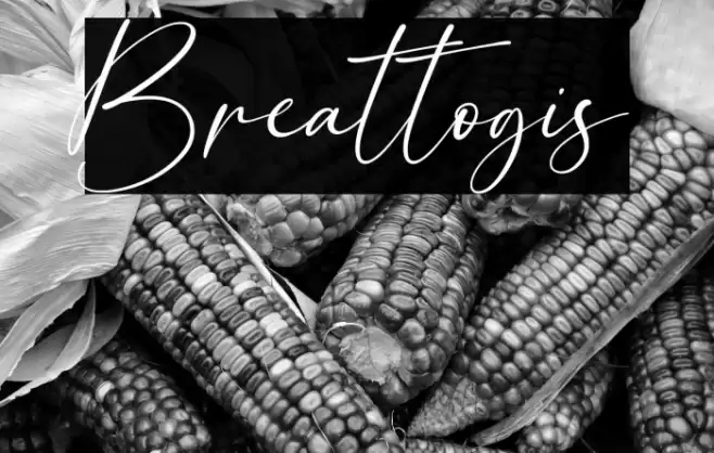 Breattogis Font examples