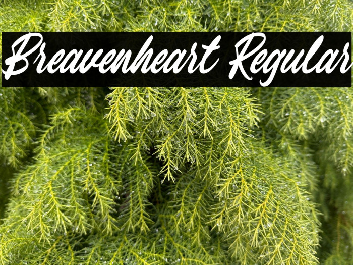 Breavenheart Regular Example 3