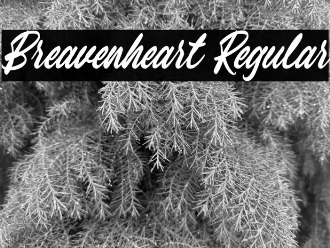 Breavenheart Regular Font examples