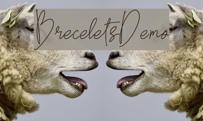 BreceletsDemo Font examples