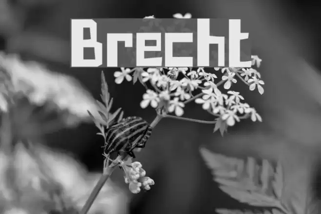 Brecht Font examples