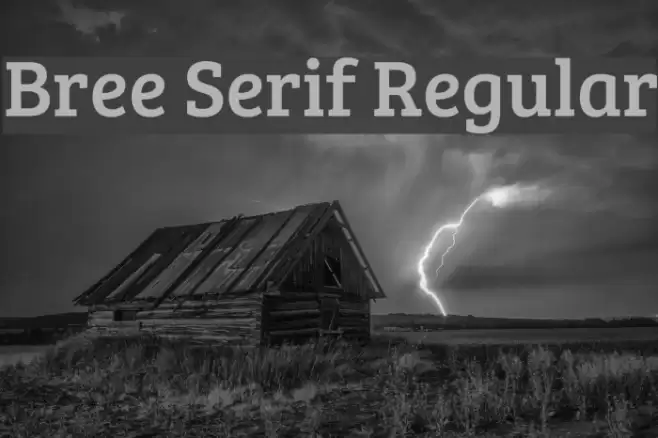 Bree Serif Regular Font examples