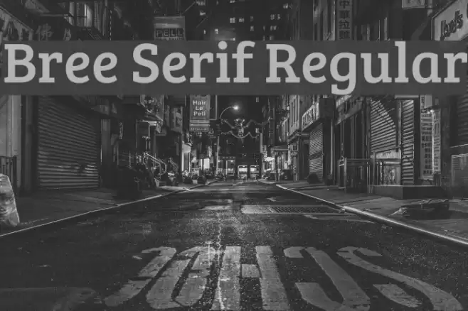 Bree Serif Regular Font examples