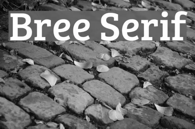 Bree Serif Font examples