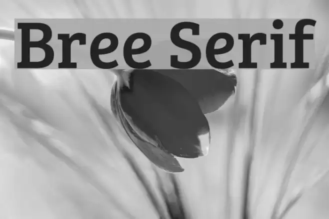 Bree Serif Font examples