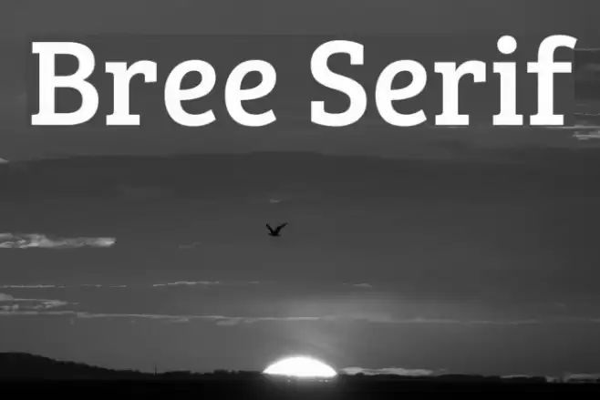 Bree Serif Font examples