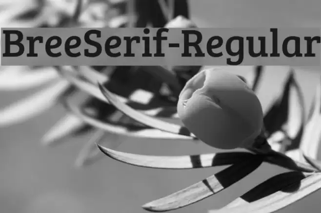 BreeSerif-Regular Font examples