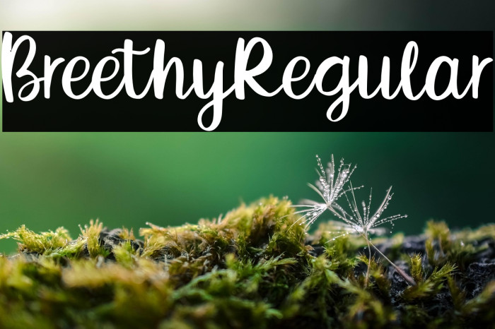 BreethyRegular Example 1