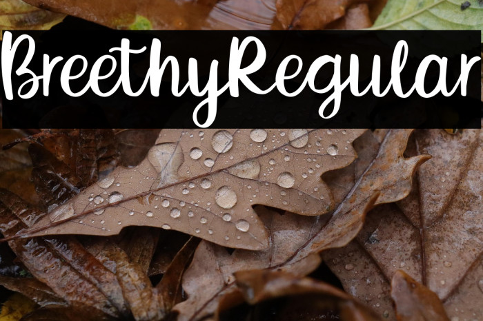 BreethyRegular Example 2