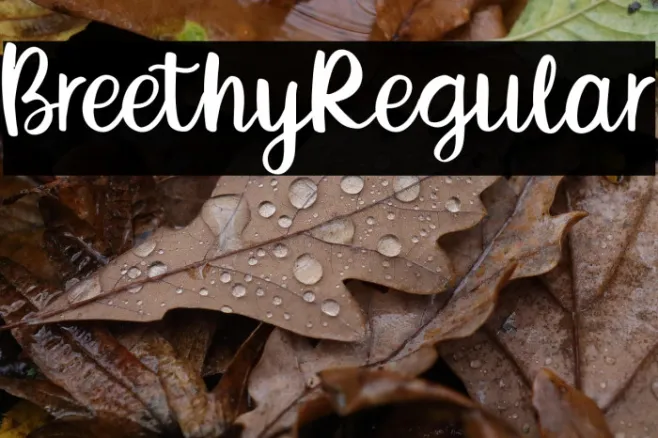 BreethyRegular Example 2