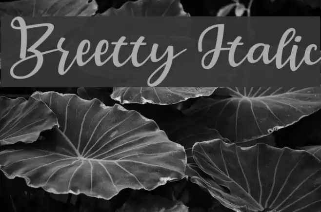 Breetty Italic Font examples