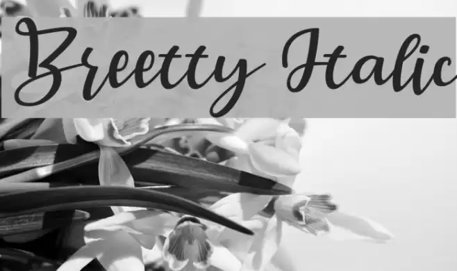 Breetty Italic Font examples