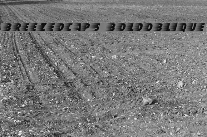 BreezedCaps BoldOblique Шрифта examples