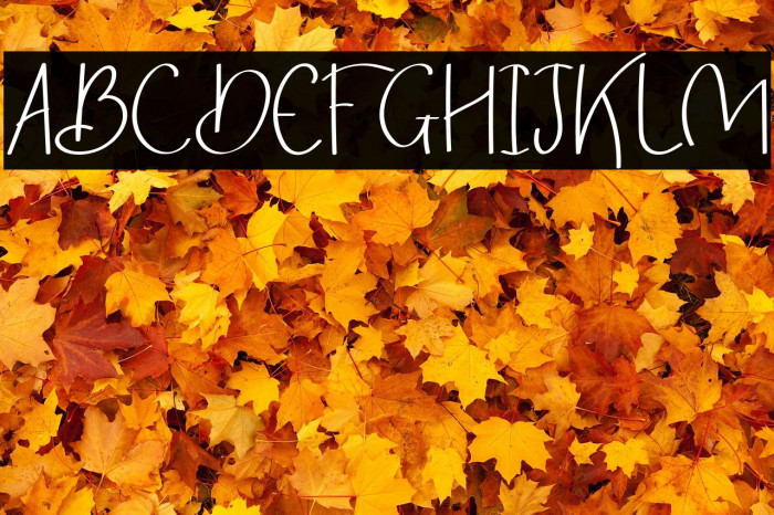 Breezy Bolton DEMO Sans Example 2