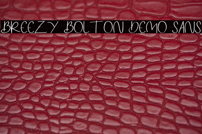 Breezy Bolton DEMO Sans Example 1