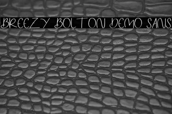 Breezy Bolton DEMO Sans Font examples