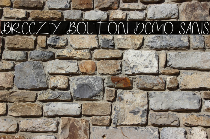 Breezy Bolton DEMO Sans Example 3