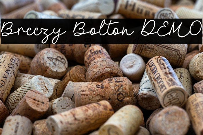 Breezy Bolton DEMO Example 1