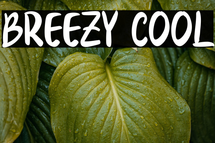 Breezy Cool Example 3