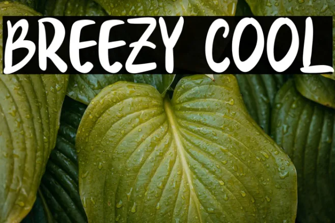 Breezy Cool Example 3