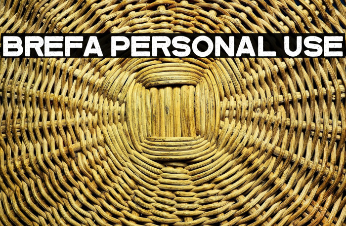 Brefa Personal Use Example 1