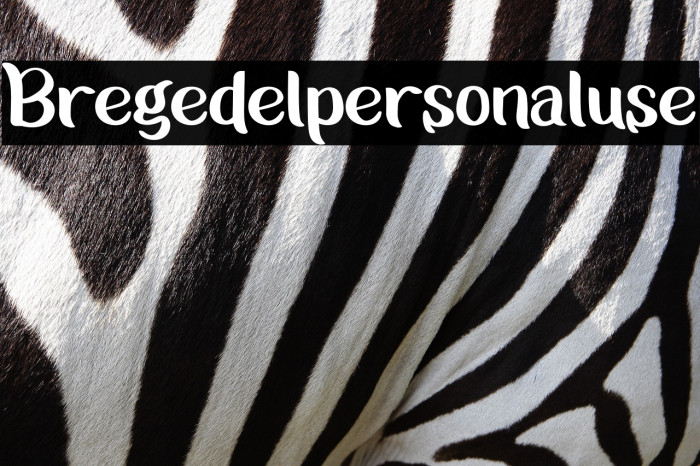 Bregedelpersonaluse Example 2