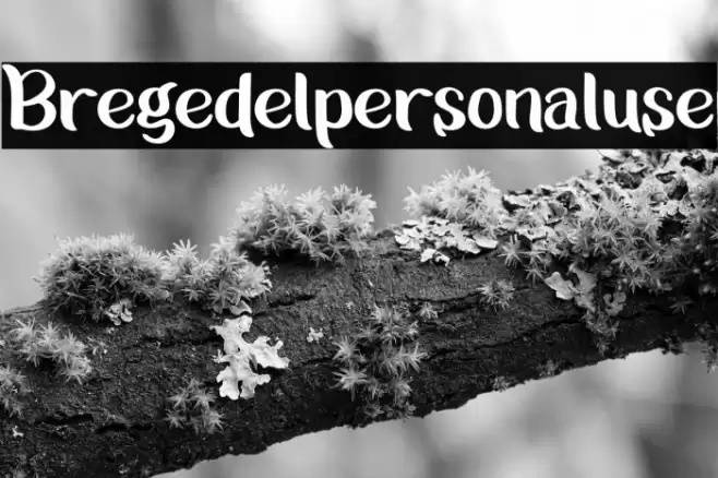Bregedelpersonaluse Font examples