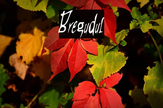 Bregudul Example 1
