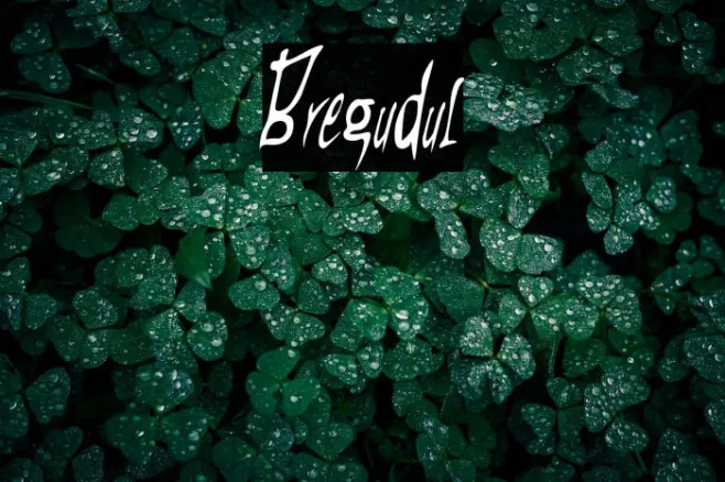 Bregudul Example 2