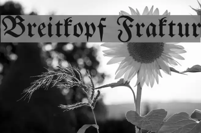 Breitkopf Fraktur Font examples