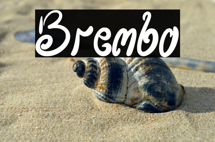Brembo Example 3