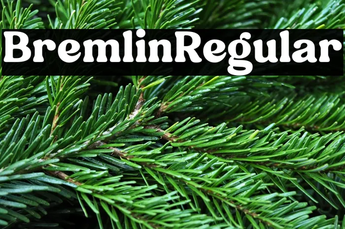 Bremlin-Regular Example 1