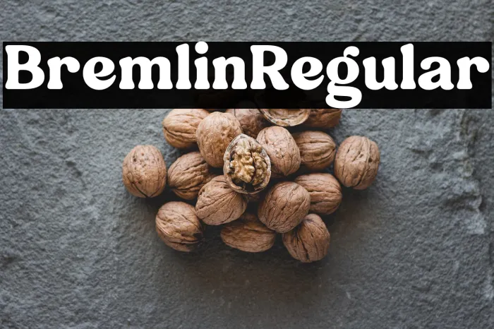 Bremlin-Regular Example 2