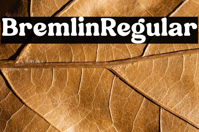Bremlin-Regular Example 3