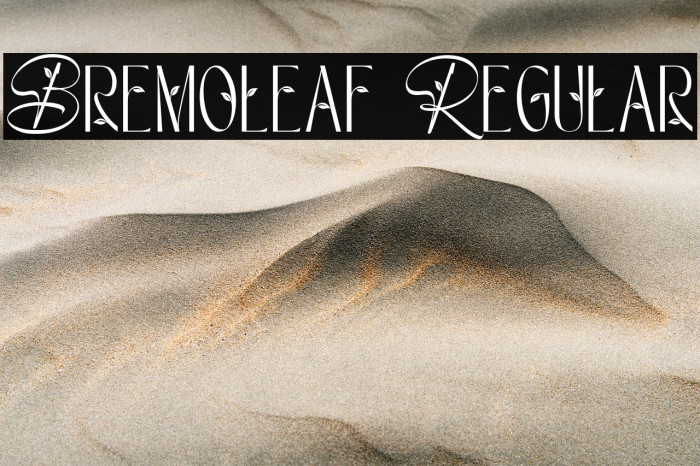 Bremoleaf Regular Example 1