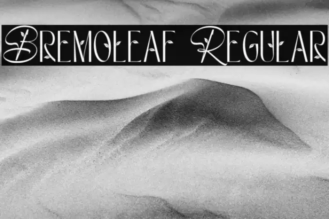 Bremoleaf Regular Polices examples